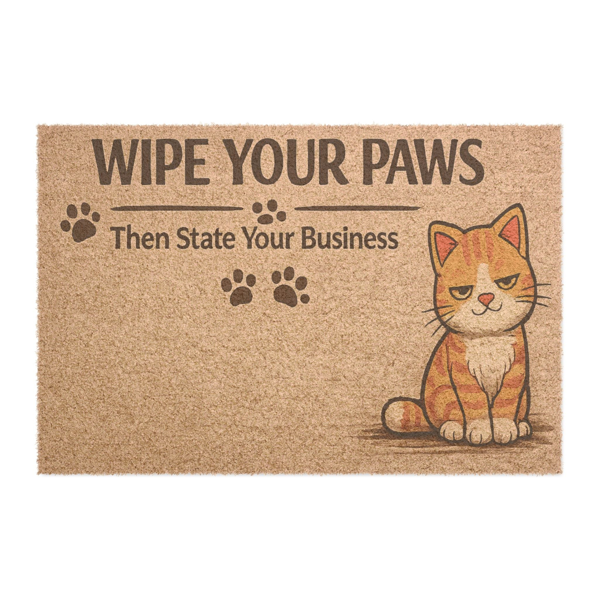Funny Cat Doormat – “Wipe Your Paws” Welcome Mat for Pet Lovers, Cat Homes & Playful Entryways