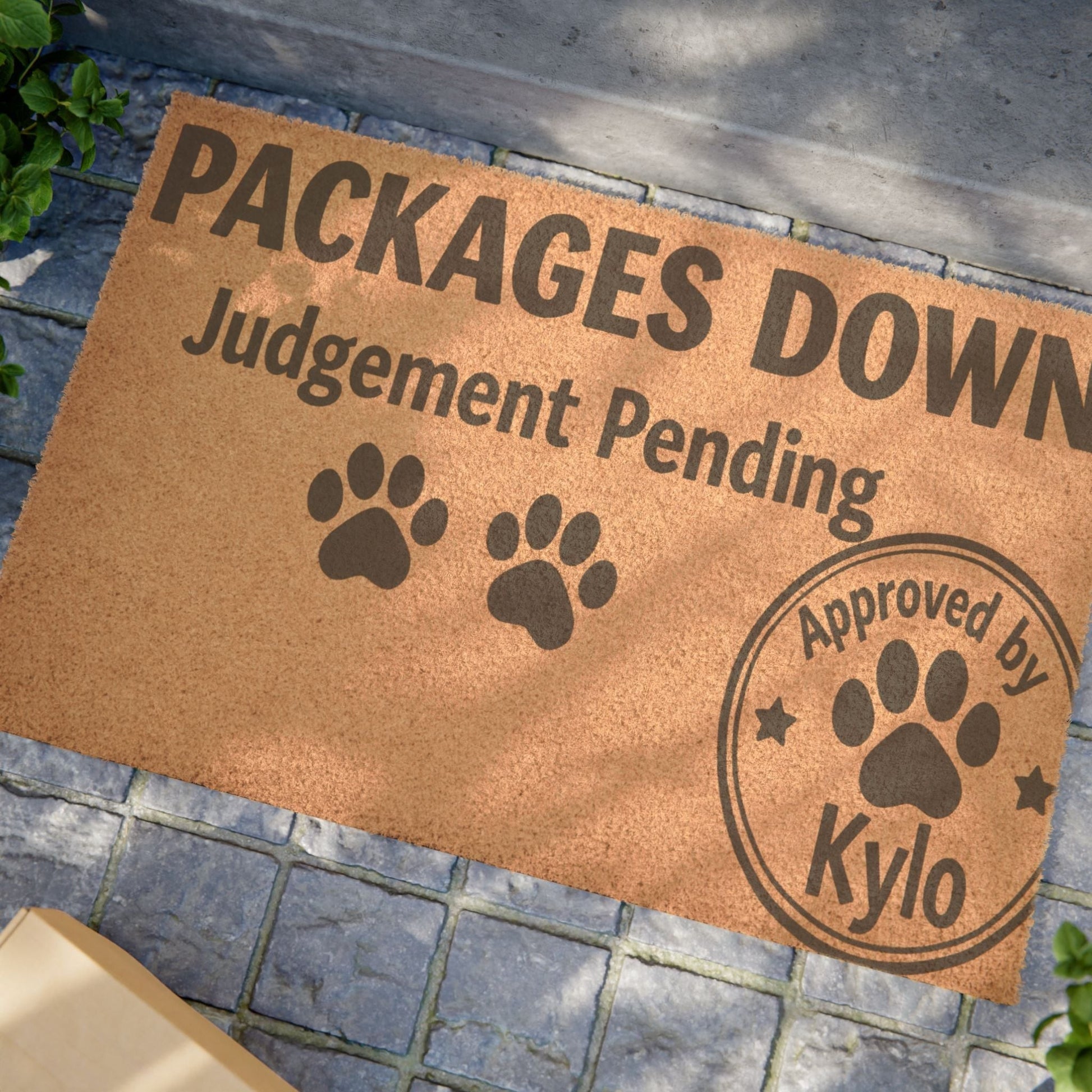 Humorous cat lover doormat with paw prints, packages down judgment pending design