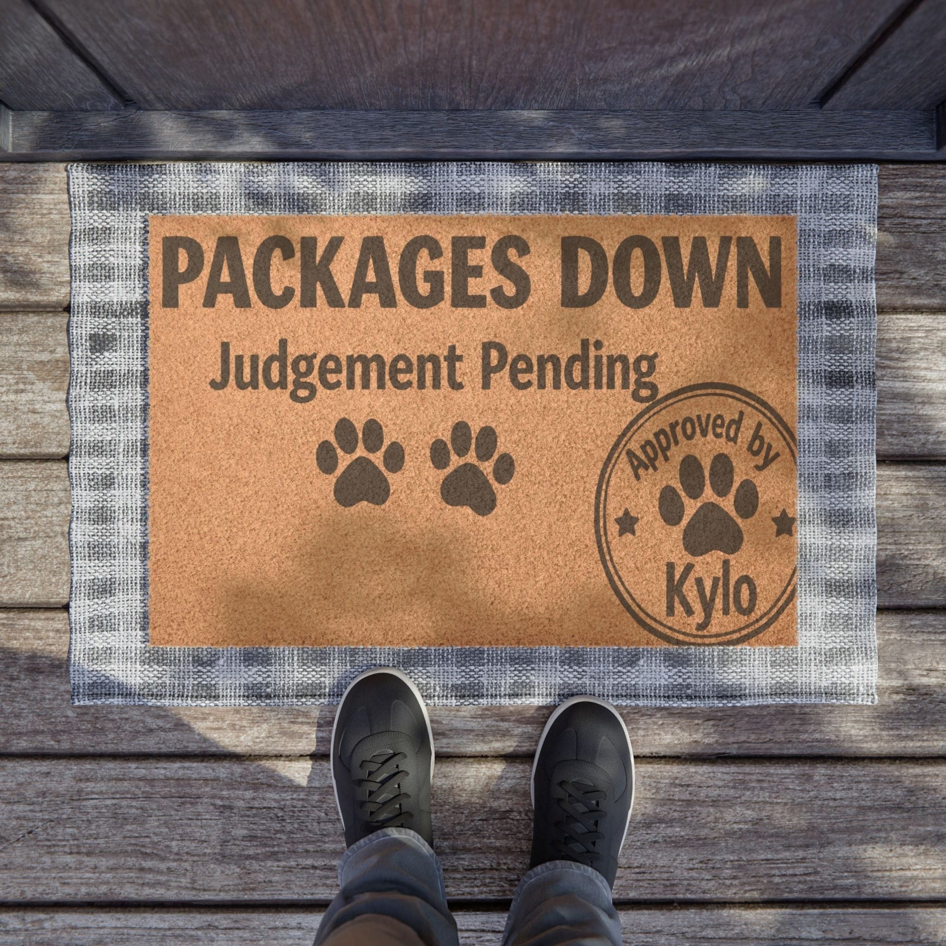 Funny cat doormat at front door, packages down, judgment pending, pet-themed entryway rug