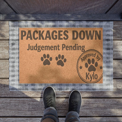 Funny cat doormat at front door, packages down, judgment pending, pet-themed entryway rug