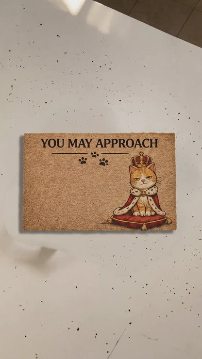 Funny Cat Doormat – “You May Approach” Royal Cat Welcome Mat for Pet Lovers & Humorous Home Decor